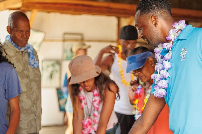 Full Day Island Tour with Hawaiian Leis theme - The Sum Up