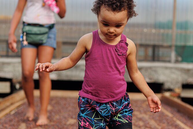 Full Day Island Tour with Hawaiian Leis theme - FAQs