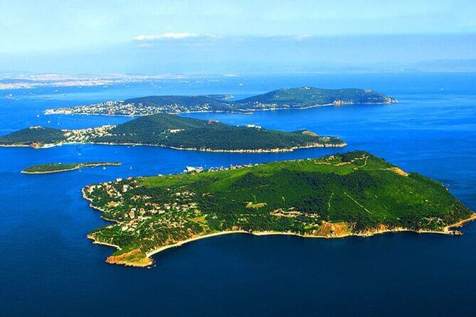 Full Day Istanbul Princes Islands Tour with Lunch - A Deep Dive into the Princes Islands Tour