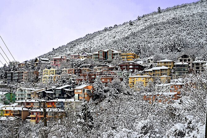 Full-Day Istanbul to Bursa Excursion With Cable Car - Authentic Experiences and Traveler Feedback
