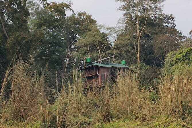 Full Day Jeep Safari in Chitwan National Park - In-Depth Review of the Jeep Safari Experience