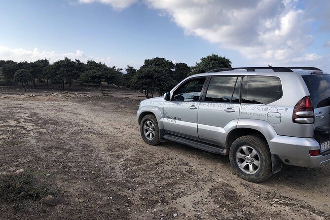 Full-Day Jeep Safari in Kos and Kefalos with Lunch - Who Will Enjoy This Tour?
