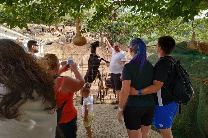 Full-Day Jeep Safari Tour with Cooking Lesson - Final Thoughts