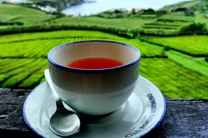 Full Day Jeep Tour Furnas with lunch (Cozido) and drinks included - Who Will Love This Tour?