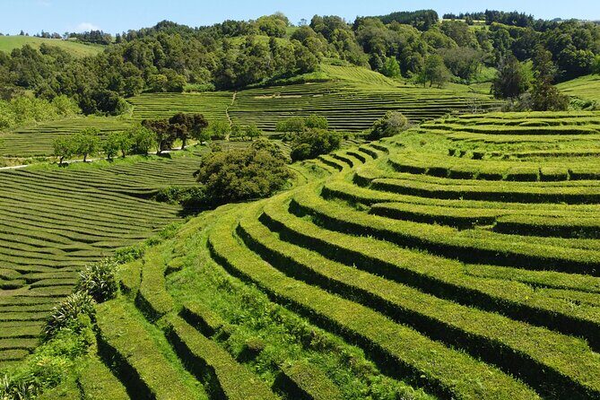 Full-Day Jeep Tour to Furnas - FAQs