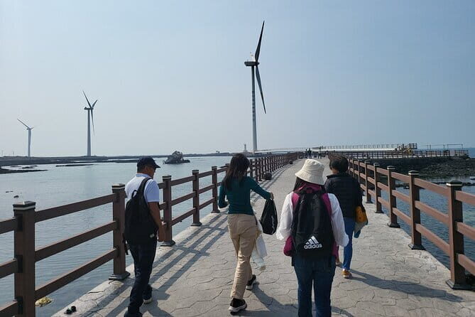 Full Day Jeju Private Customizable highlight Tour - Possible Drawbacks or Considerations