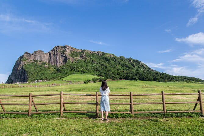 Full Day Jeju Private Customizable highlight Tour - FAQ about the Full Day Jeju Private Customizable Highlight Tour