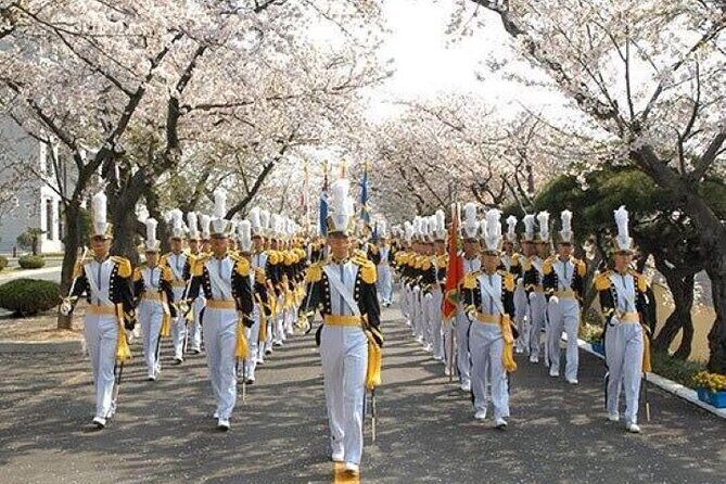 Full-Day Jinhae Cherry Blossom festival Private tour - Frequently Asked Questions