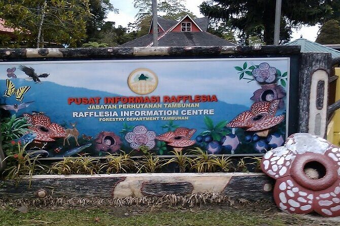 Full Day JomTour! Memorable Experience in Kota Kinabalu, Sabah - Final Thoughts: Is It Worth It?