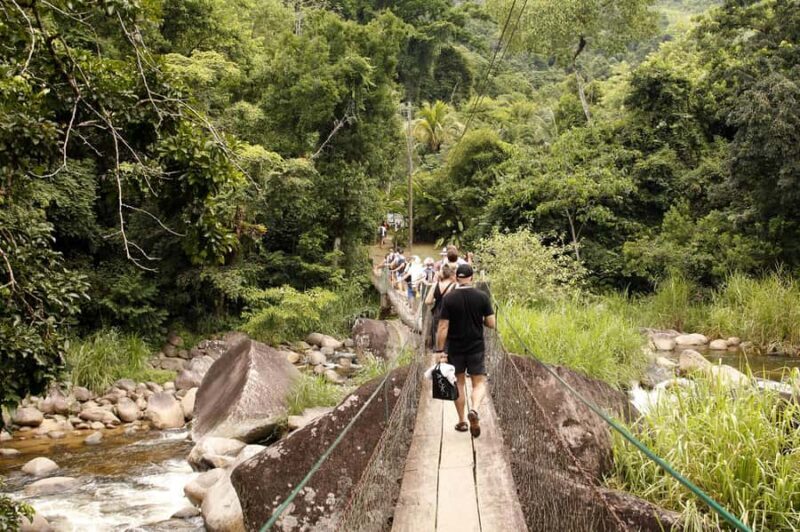 Full-Day Jungle Jeep Waterfall and Cachaça Distillery Tour - Final Thoughts