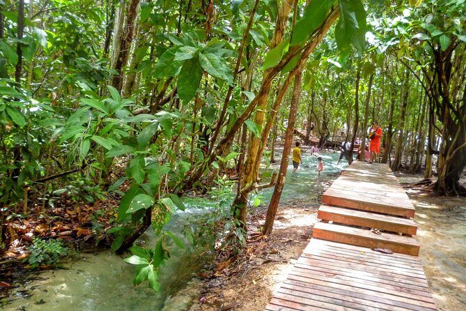 Full-Day Jungle Tour Including Tiger Cave Temple, Crystal Pool and Krabi Hot Springs - FAQ