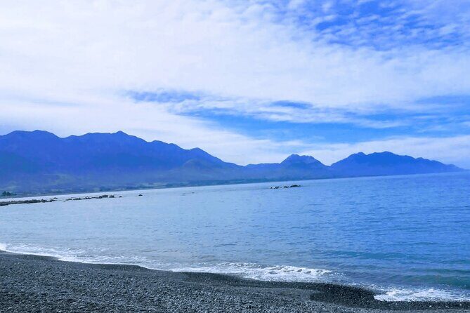 Full Day Kaikoura Tour Whale Watching Seals and Scenic Coast - The Value of This Tour