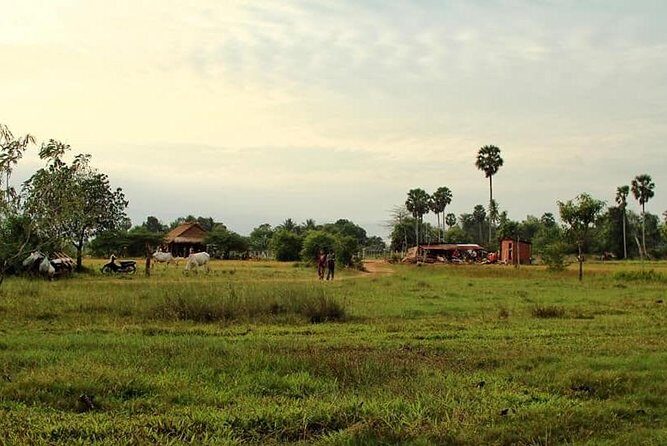 Full-Day Kampot & Kep with a local Tuk Tuk Tours - Practical Details and Tips