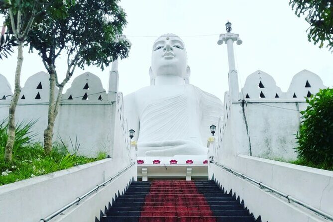 Full day Kandy walking tour with TUK TUK ride to Peradeniya gardens - Why This Tour Works for You