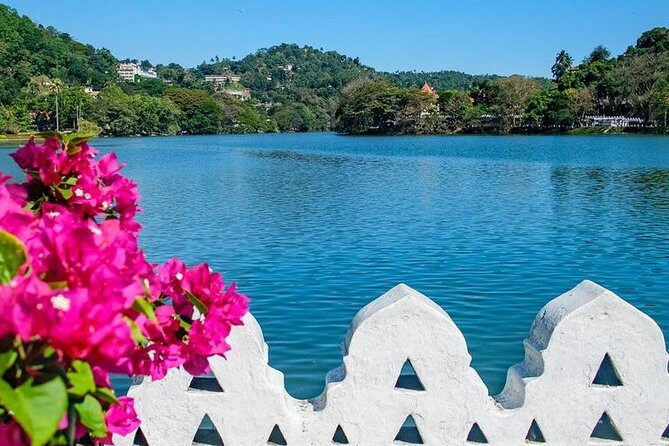 Full day Kandy walking tour with TUK TUK ride to Peradeniya gardens - The Sum Up