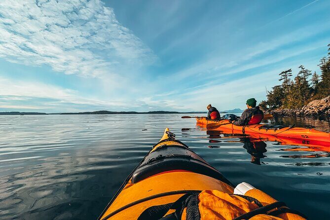 Full Day Kayaking Adventure on Vancouver Island - Who Would Love This Tour?