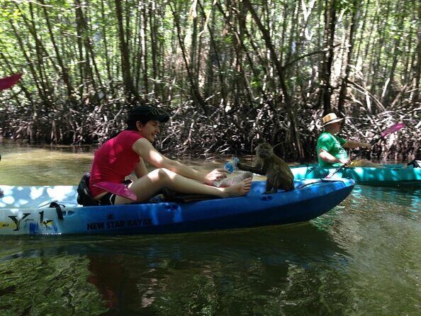 Full Day Kayaking at Ao Thalane Krabi - Full Day Kayaking at Ao Thalane Krabi: An Authentic Adventure on the Water