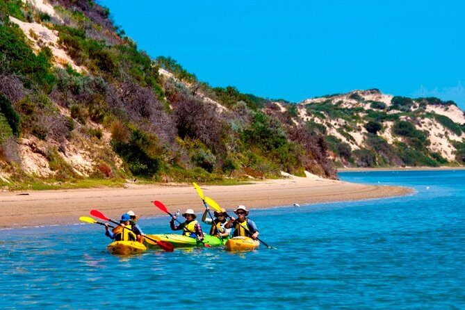 Full Day Kayaking Tour in Coorong National Park - Exploring the Coorong by Kayak: What You Need to Know