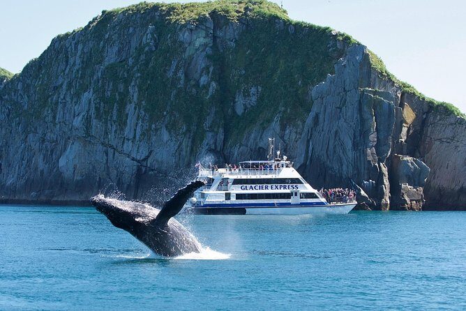 Full-Day Kenai Fjords National Park Cruise - Exploring the Kenai Fjords Full-Day Cruise in Detail