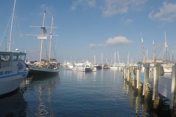 Full-Day Key West Tour and Coral Reef Snorkeling with Open Bar - The Sum Up