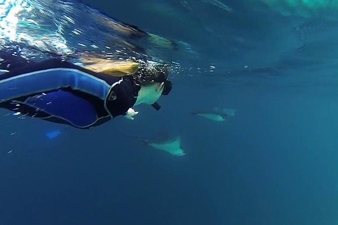 Full Day Kicker Rock - Who Is This Tour For?