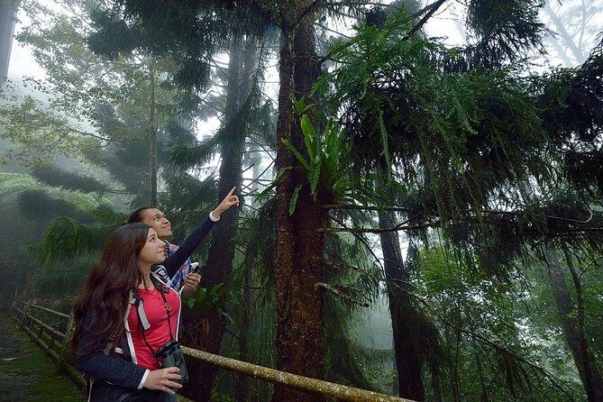 Full-Day Kinabalu Park and Poring Hot Spring Day Trip - Exploring Kinabalu Park: A Treasure Trove of Biodiversity