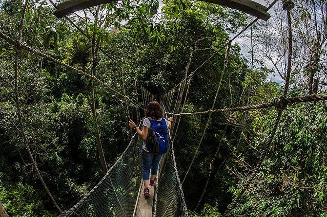 Full-Day Kinabalu Park and Poring Hot Spring Day Trip - Poring Hot Springs: Relaxation and Adventure