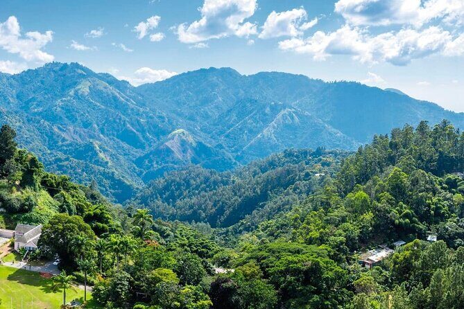 Full-Day Kingston and Blue Mountains Private Guided Tour - The Sum Up: Who Will Love This Tour?