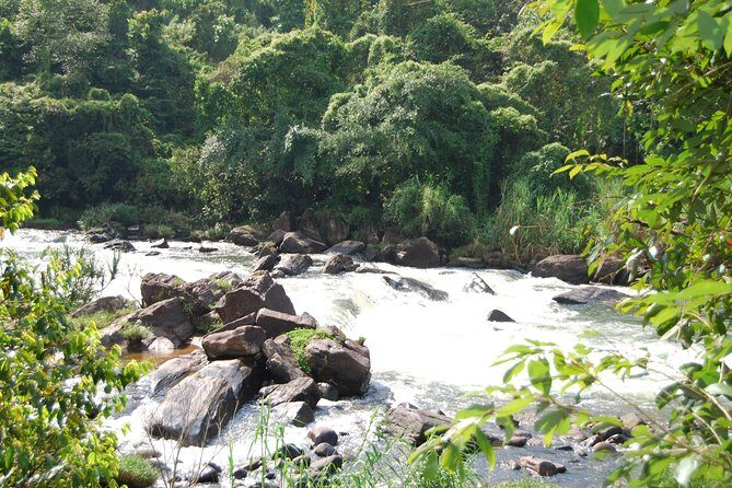 Full-Day Kitulgala White Water Rafting Tour from Colombo - Authentic Experience and Value