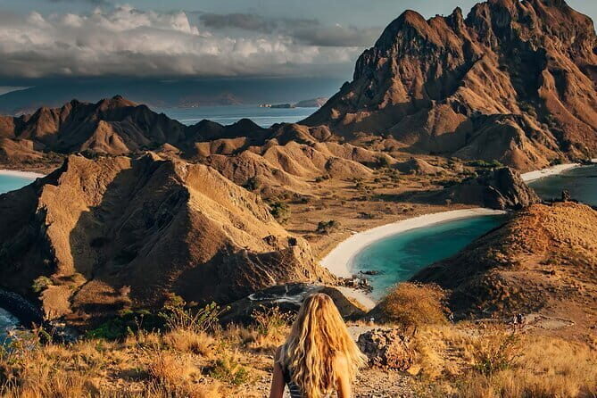 Full Day Komodo Tour With MK Express Speedboat Visit 6 Spot - A Deep Dive into the Komodo Experience