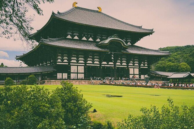 Full Day Kyoto and Nara Tour - Exploring Kyoto and Nara: A Closer Look