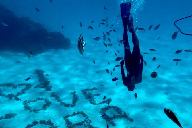 Full Day Lagoon experience with motu lunch - Bora Boras Lagoon Adventure: Snorkeling, Culture, and a Motu Feast