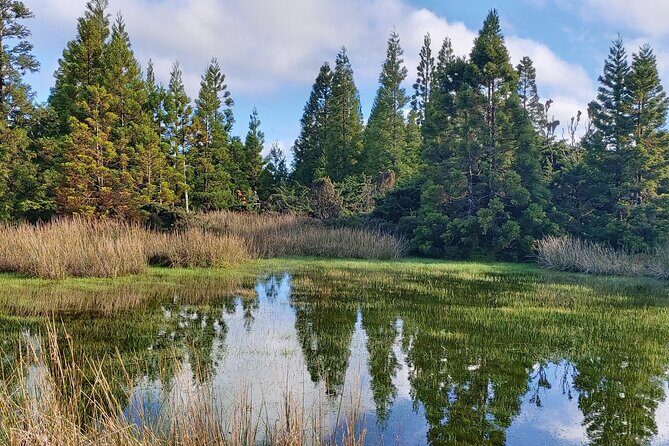 Full Day Lagoons and Volcanoes Tour in Terceira Island - Exploring the Itinerary in Detail