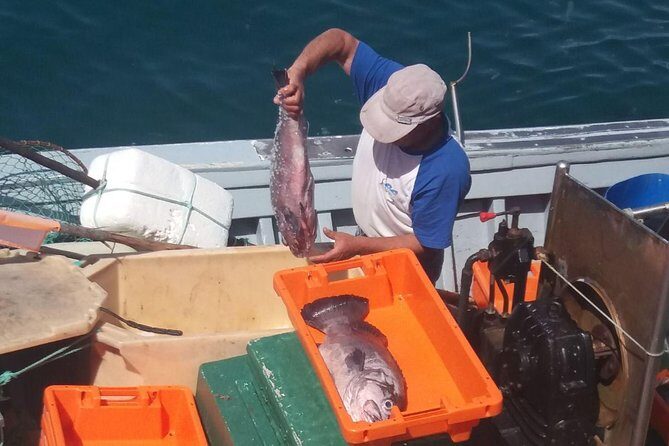 Full-Day Lagos and Sagres Tour from Albufeira - A Closer Look at the Full-Day Lagos and Sagres Tour