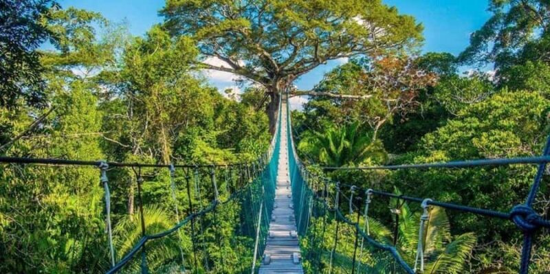 FULL DAY LAKE SANDOVAL & THE MONKEY HOUSE - Key Points