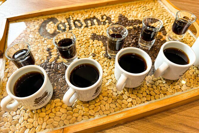 Full Day learning about the Process of the Best Coffee in the World - The Practicalities