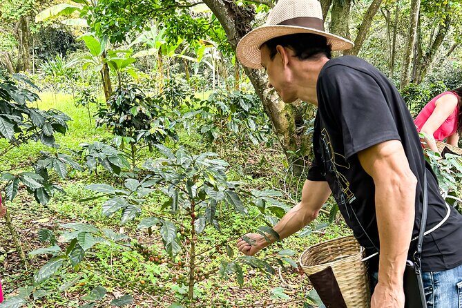 Full Day learning about the Process of the Best Coffee in the World - Who Should Consider This Tour?