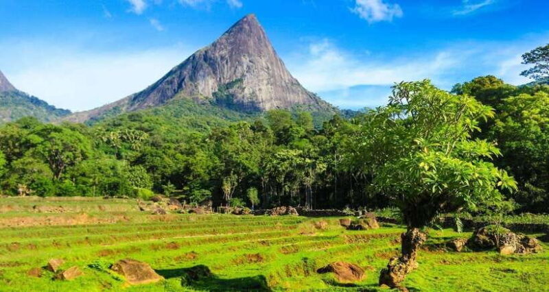 Full Day Leopard Safari at Yala and Traditional Curd Tasting - Exploring Yala: What Makes This Safari Stand Out