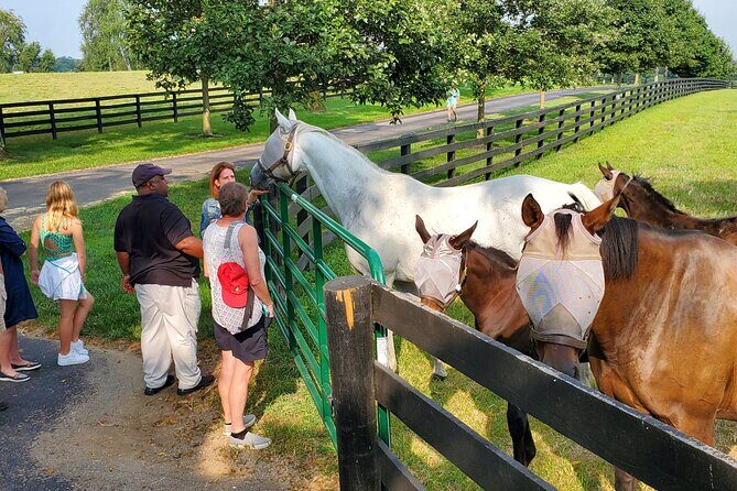 Full-Day Lexington Farm Tour with Clay Pigeon Shooting - A Deep Dive into the Lexington Farm Tour