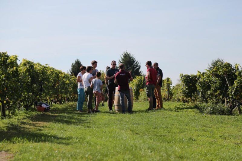 Full Day Loire Valley Wine Tour with lunch: Vouvray & Chinon - Who Would Love This Tour?