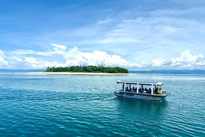 Full Day Low Isles Sailing & Snorkelling Cruise from Port Douglas - Final Thoughts