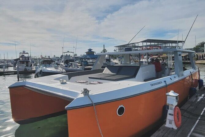 Full Day Luxury Snorkel Charter With Lunch (Minimum 10 Guests) - Why this tour stands out