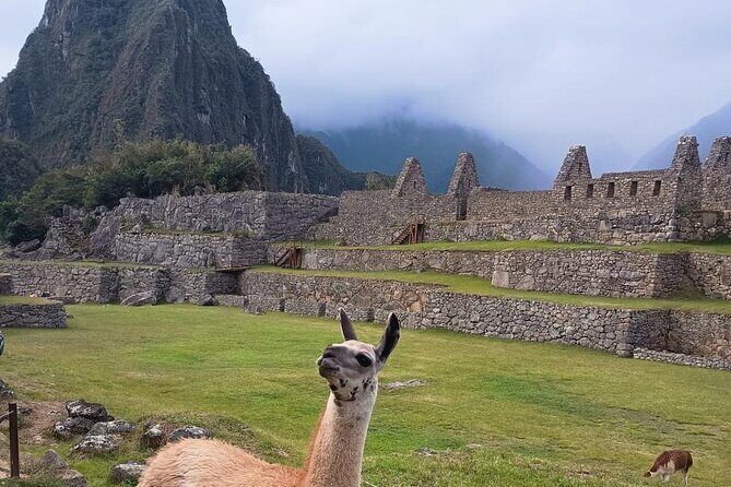 Full Day Machu Picchu from Cusco with Vistadome train - A Deep Dive into the Full-Day Machu Picchu Tour