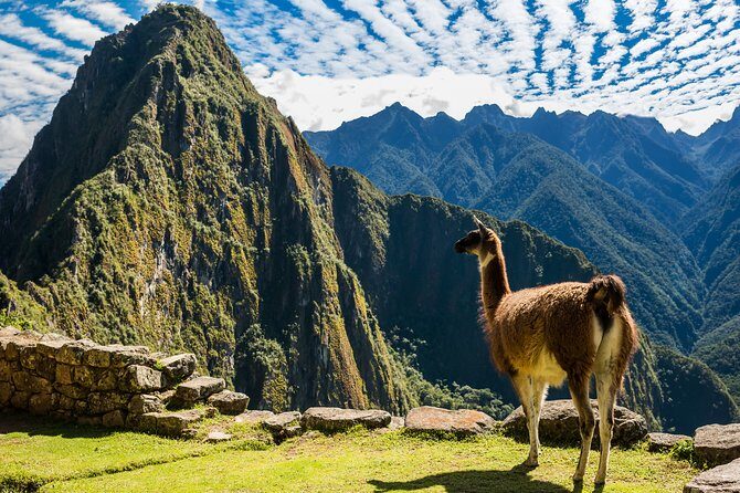Full-Day Machu Picchu Tour From Cusco - Key Points