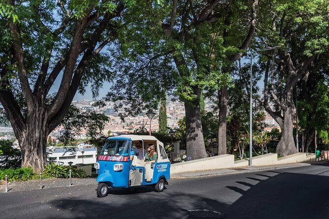 Full Day Madeira Island Private Discovery by Tuk Tuk - An In-Depth Look at the Madeira Tuk Tuk Tour