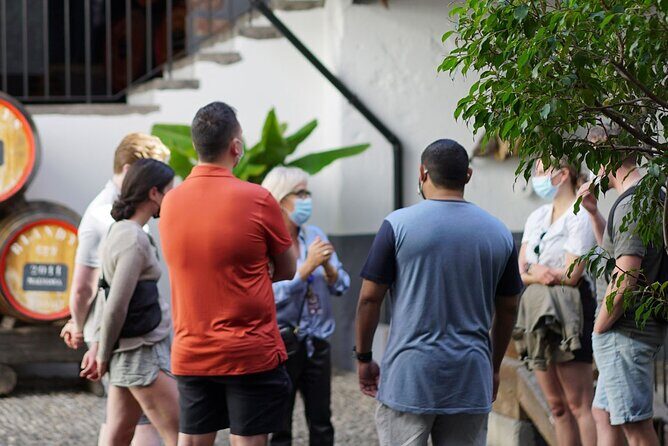 Full-Day Madeira Wine Tasting Tour with Lunch - Final Thoughts: Is This Tour Right for You?