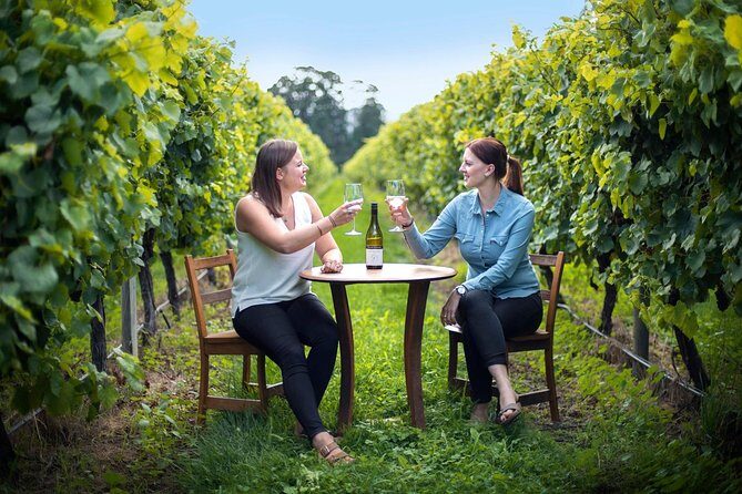 Full-Day Marlborough Scenic and Wine Tour from Blenheim - A Deep Dive into the Marlborough Experience