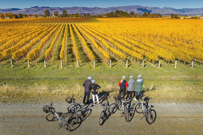 Full-Day Marlborough Wine Region Bike Hire - Final Thoughts