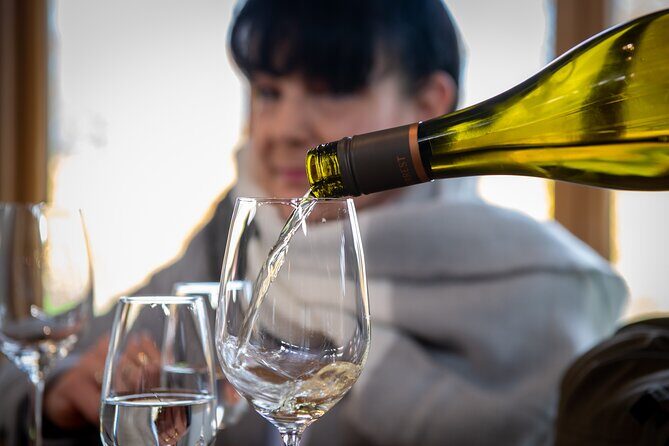 Full-Day Marlborough Wine Tour Including Wine Tasting - Key Points