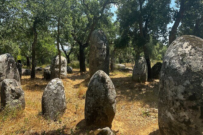 Full Day Megalithic Tour with Lunch Included - Learning at the Interpretative Center